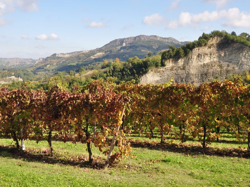 Foto di Mauro Camaggi