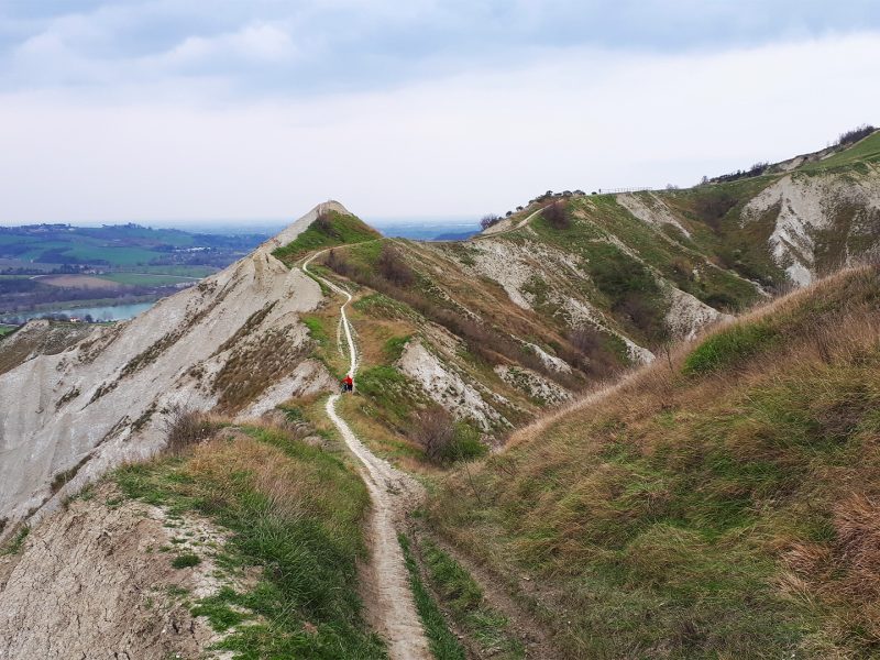 Foto di Mauro Camaggi
